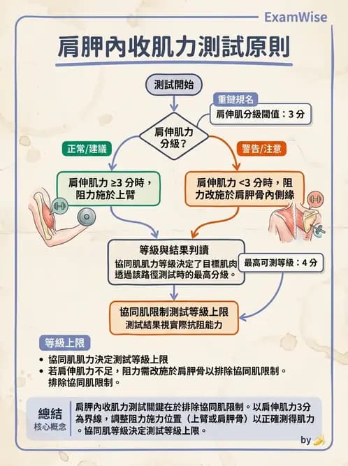 物治 - 上肢徒手肌力測試 - AI 圖文解析預覽