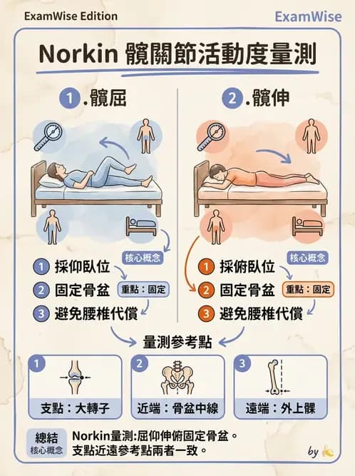 物治 - 下肢與脊椎關節活動度 - AI 圖文解析預覽