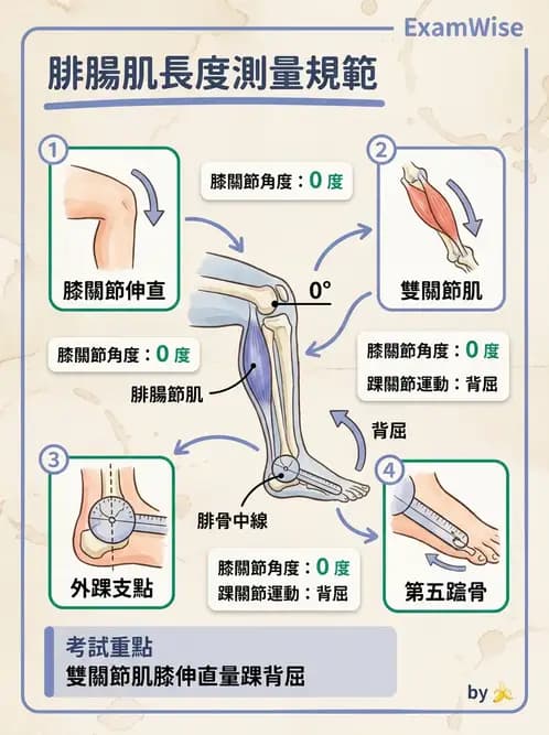 物治 - 下肢與脊椎關節活動度 - AI 圖文解析預覽