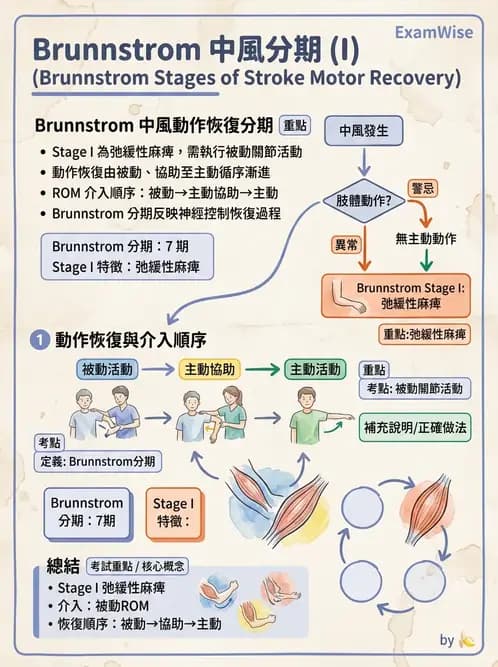 物治 - ROM通則與關節運動 - AI 圖文解析預覽