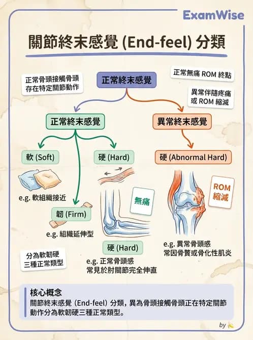 物治 - ROM通則與關節運動 - AI 圖文解析預覽