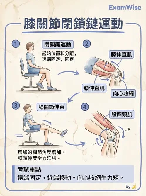 物治 - 肌力訓練方法 - AI 圖文解析預覽