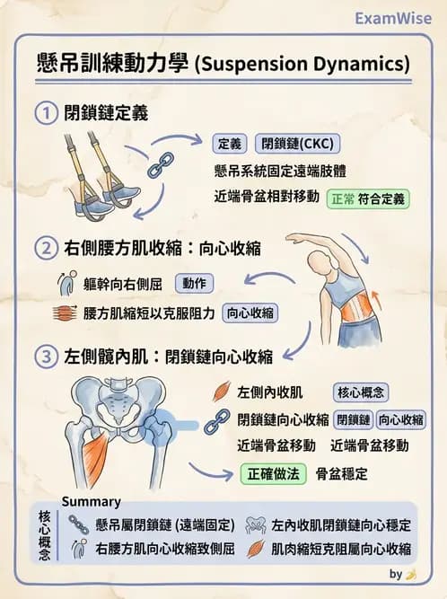 物治 - 懸吊系統與放鬆 - AI 圖文解析預覽