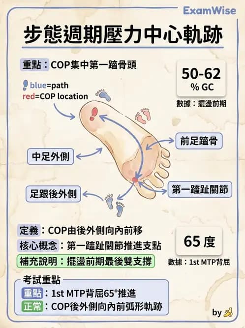 物治 - 行走評估與訓練 - AI 圖文解析預覽