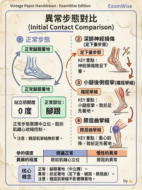 物治 - 行走評估與訓練 - AI 圖文解析預覽