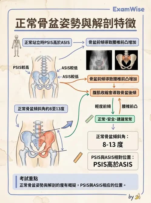 物治 - 行走評估與訓練 - AI 圖文解析預覽