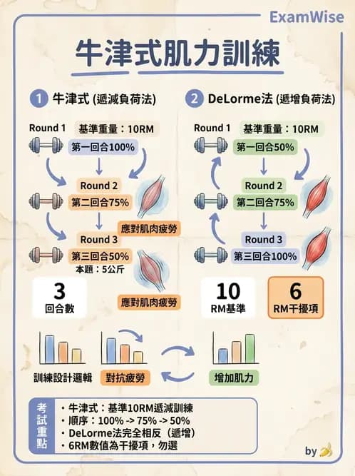 物治 - 漸進式阻力訓練 - AI 圖文解析預覽