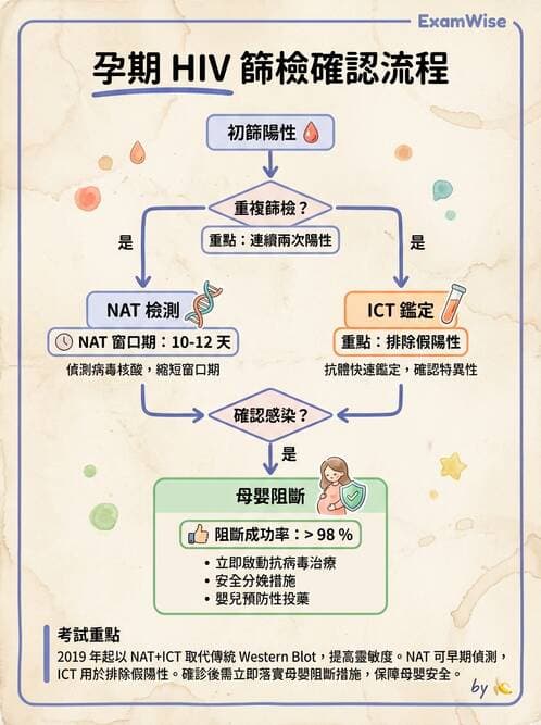 護理師 - 高危險妊娠 - AI 圖文解析預覽