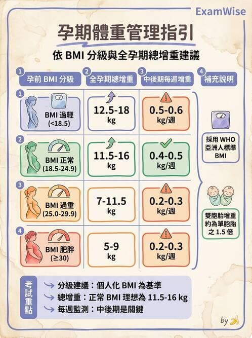 護理師 - 孕期營養心理與衛生政策 - AI 圖文解析預覽