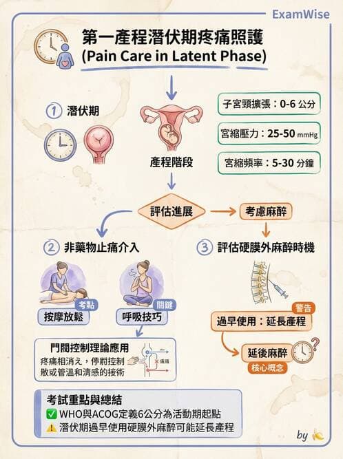 護理師 - 生產疼痛與麻醉技術 - AI 圖文解析預覽