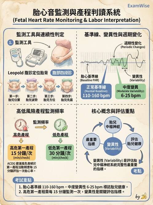 護理師 - 分娩過程與產科急症 - AI 圖文解析預覽