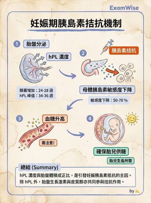 護理師 - 高危險妊娠 - AI 圖文解析預覽