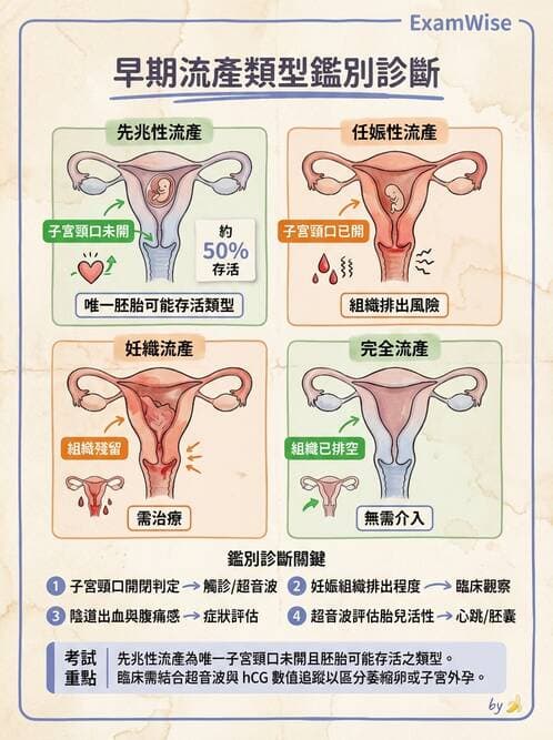護理師 - 高危險妊娠 - AI 圖文解析預覽