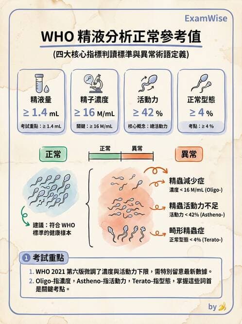 護理師 - 不孕症月經與更年期 - AI 圖文解析預覽