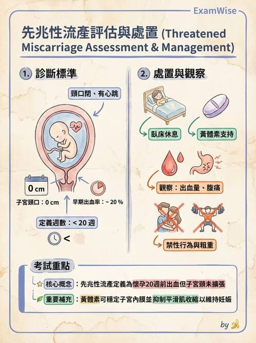 護理師 - 高危險妊娠 - AI 圖文解析預覽