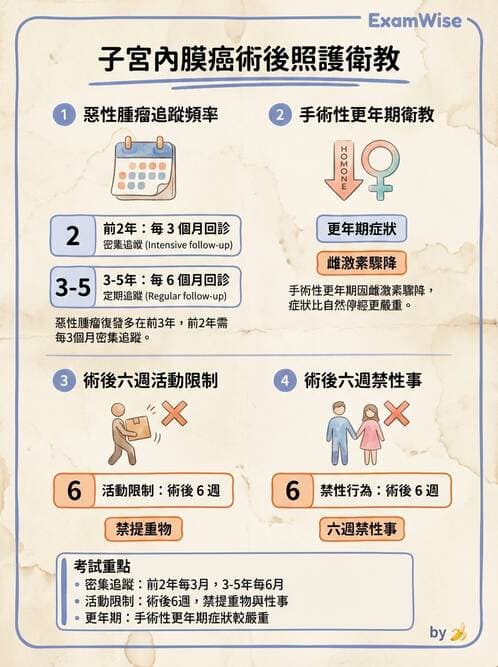 護理師 - 婦科腫瘤與感染 - AI 圖文解析預覽