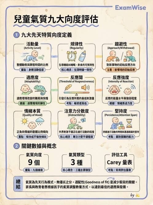 護理師 - 兒童心理社會發展與遊戲 - AI 圖文解析預覽