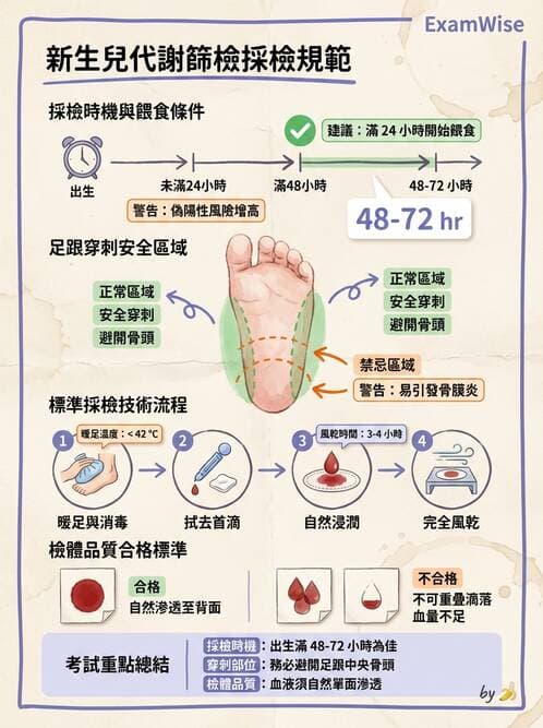 護理師 - 新生兒日常照護與篩檢 - AI 圖文解析預覽