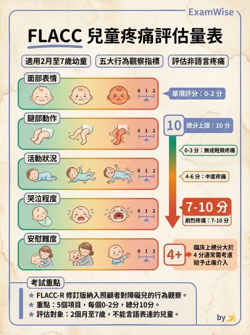 護理師 - 兒童基本護理評估技術 - AI 圖文解析預覽