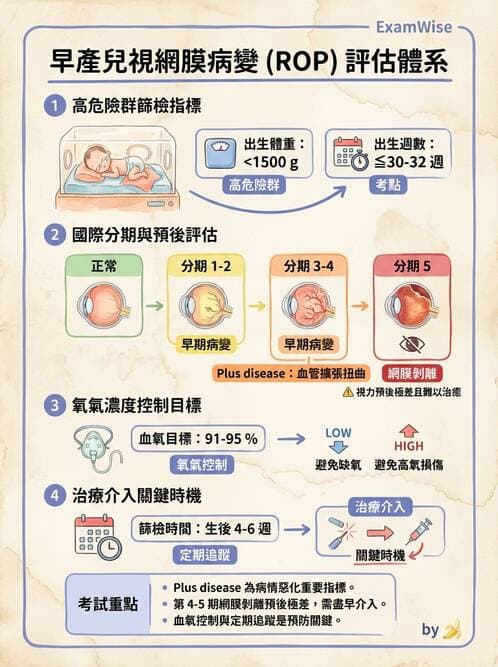 護理師 - 高危險新生兒 - AI 圖文解析預覽