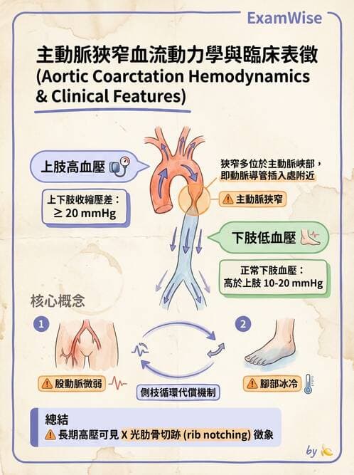 護理師 - 兒童循環系統疾病 - AI 圖文解析預覽