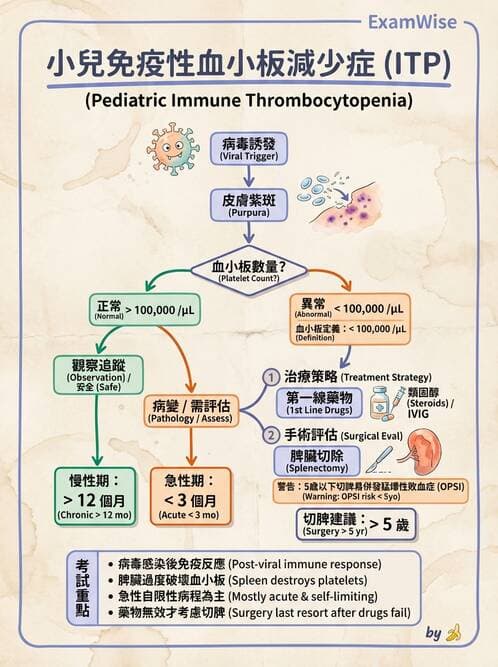 護理師 - 兒童血液與腫瘤疾病 - AI 圖文解析預覽