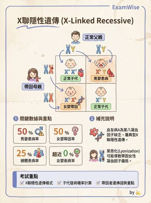 護理師 - 兒童血液與腫瘤疾病 - AI 圖文解析預覽