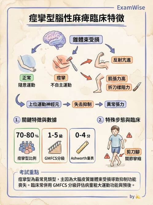 護理師 - 兒童神經肌肉骨骼疾病 - AI 圖文解析預覽