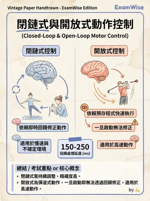物治 - 動作控制理論 - AI 圖文解析預覽