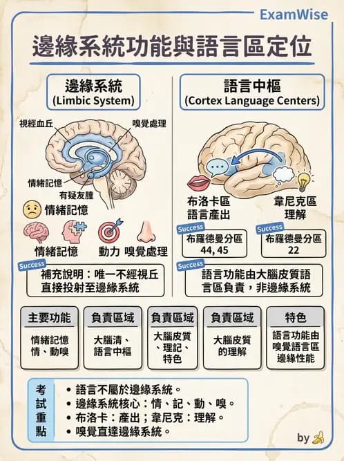 物治 - 動作控制理論 - AI 圖文解析預覽