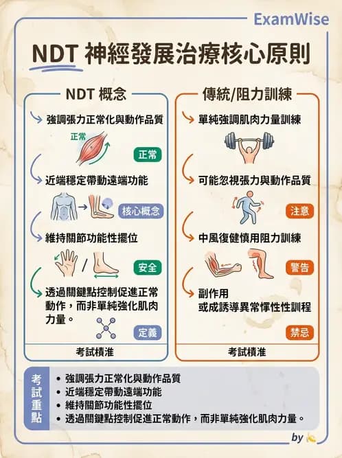 物治 - 神經治療學派技術 - AI 圖文解析預覽