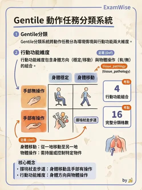 物治 - 動作學習 - AI 圖文解析預覽