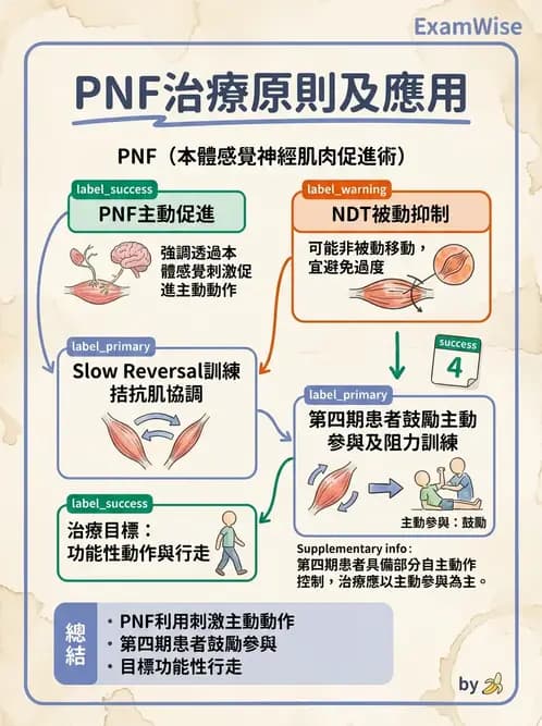 物治 - 腦中風治療手法應用 - AI 圖文解析預覽