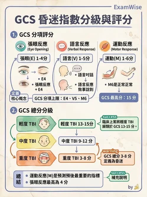 物治 - TBI病理評估與GCS - AI 圖文解析預覽