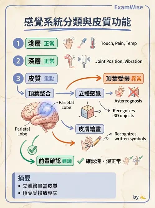 物治 - 神經物理治療評估工具 - AI 圖文解析預覽