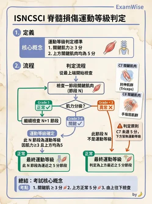 物治 - SCI評估分類與症候群 - AI 圖文解析預覽