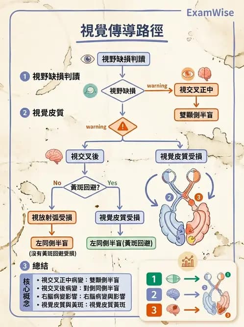 物治 - 腦中風感覺知覺與認知 - AI 圖文解析預覽