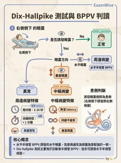 物治 - 前庭系統與前庭復健 - AI 圖文解析預覽