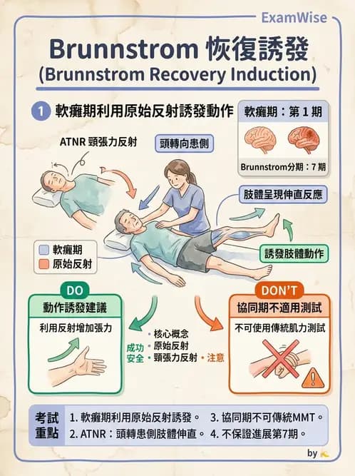 物治 - 腦中風動作評估與分期 - AI 圖文解析預覽