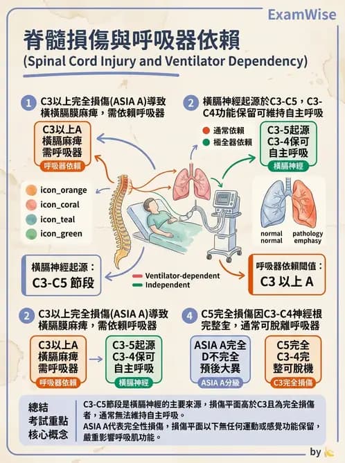物治 - SCI併發症與呼吸管理 - AI 圖文解析預覽