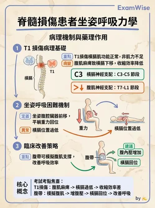 物治 - SCI併發症與呼吸管理 - AI 圖文解析預覽