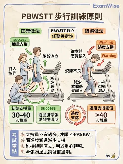 物治 - 訓練原則與科技輔助 - AI 圖文解析預覽