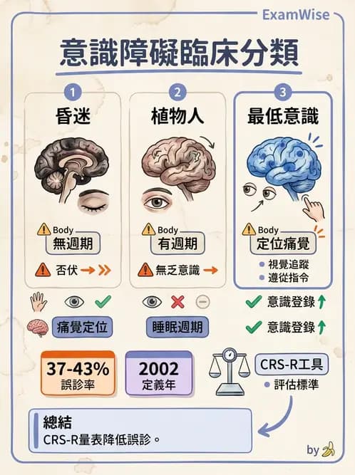 物治 - TBI LOCF分級與復健 - AI 圖文解析預覽