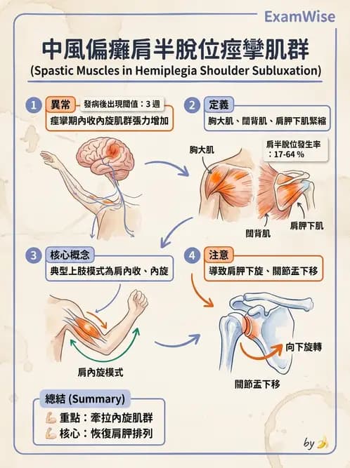 物治 - 腦中風上肢肩部與體適能 - AI 圖文解析預覽