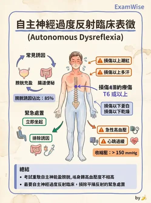 物治 - SCI併發症與呼吸管理 - AI 圖文解析預覽