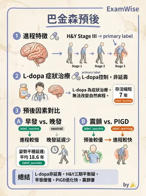 物治 - 巴金森氏病物理治療 - AI 圖文解析預覽