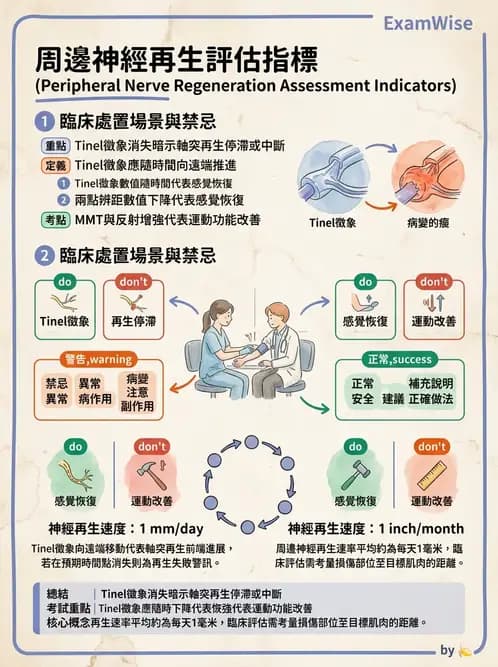 物治 - 周邊神經損傷與復健 - AI 圖文解析預覽