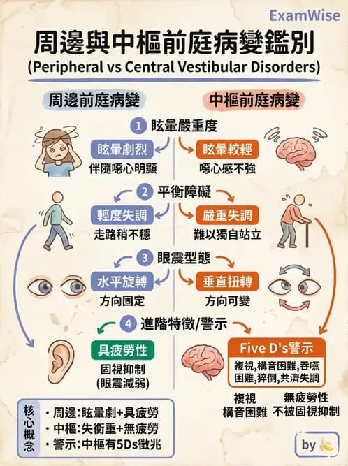 物治 - 前庭系統與前庭復健 - AI 圖文解析預覽