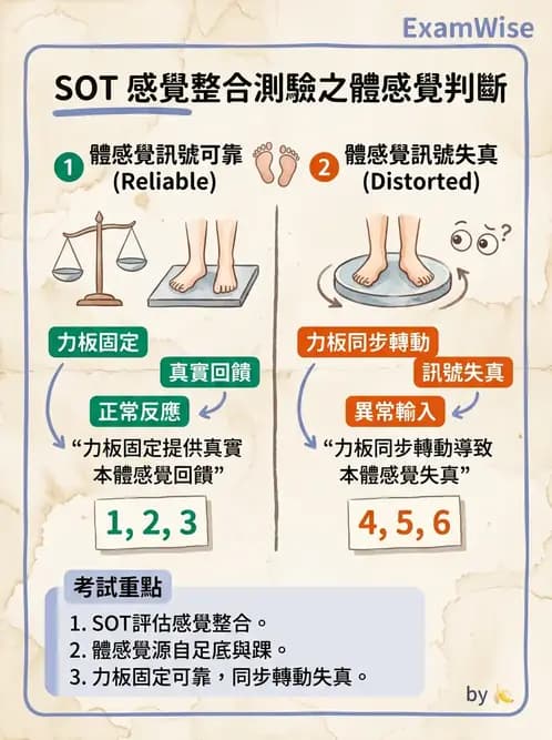 物治 - 神經物理治療評估工具 - AI 圖文解析預覽
