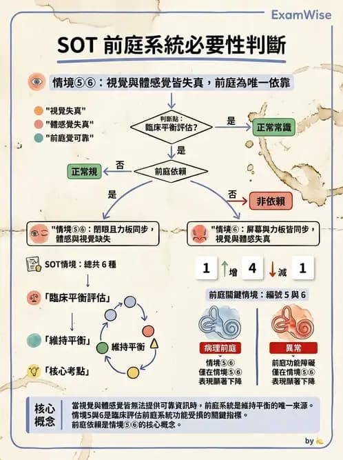 物治 - 神經物理治療評估工具 - AI 圖文解析預覽